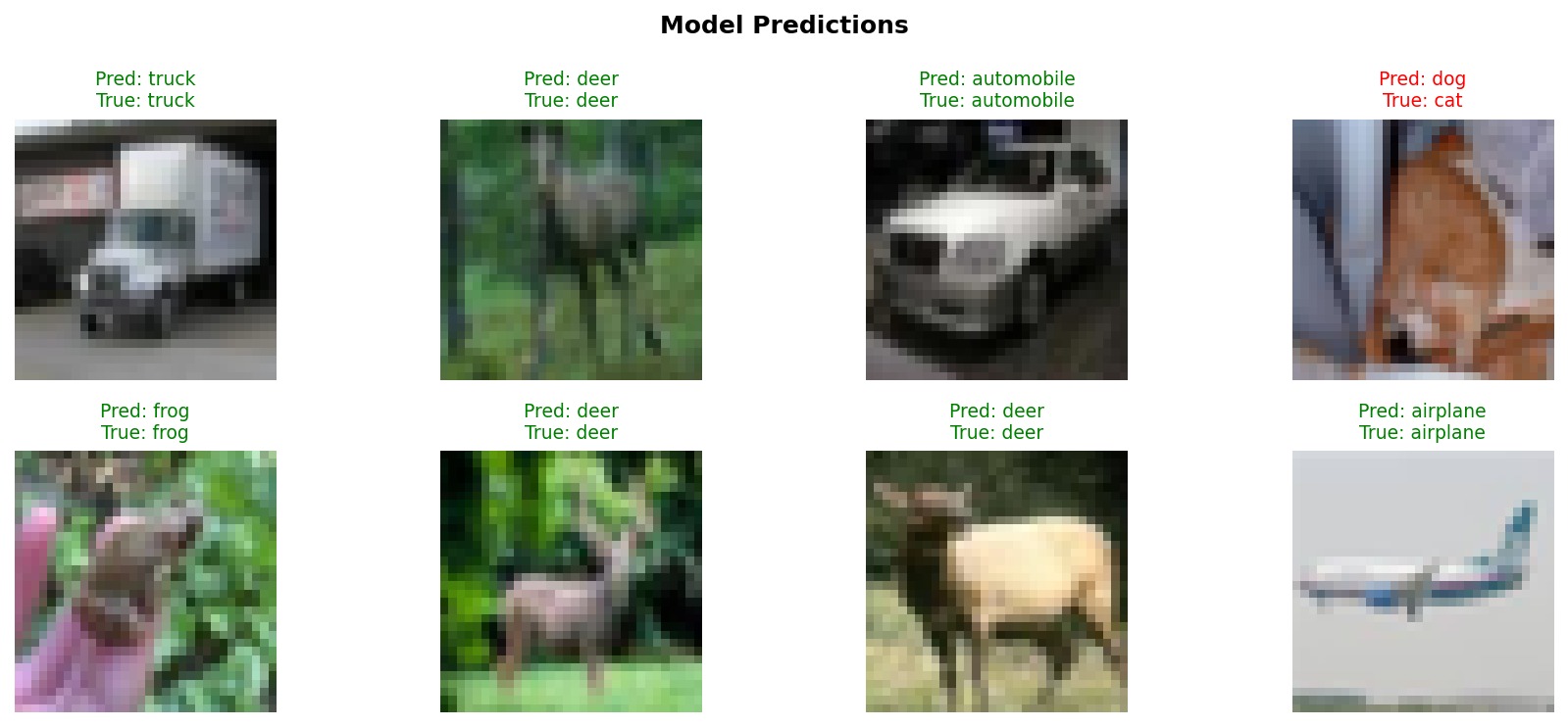 Model Predictions