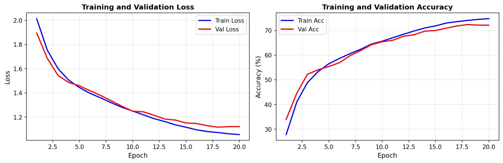 Training Curves